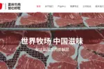 麦尚食品：一家牛肉零食企业的 AI 时代突围